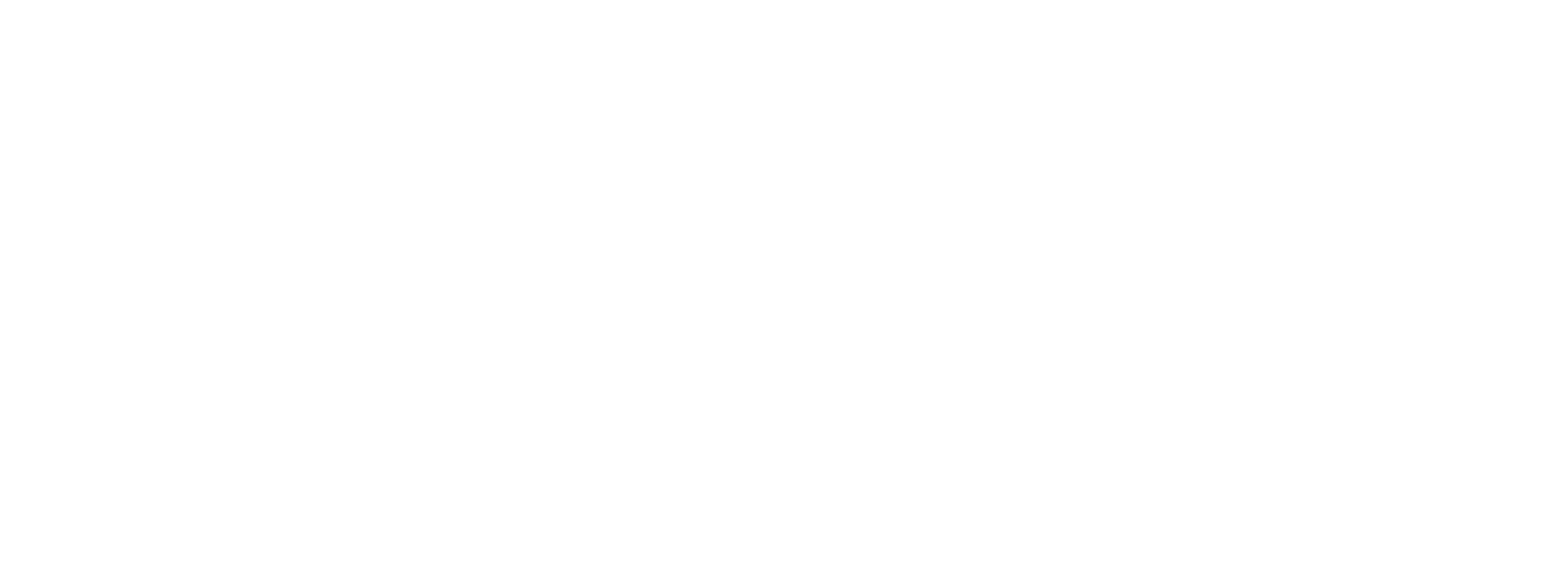 Ledreflection_logo_white